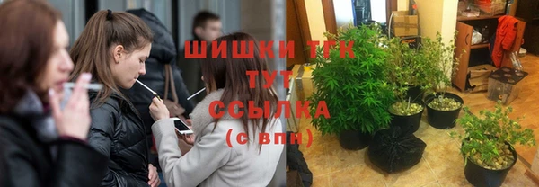 крисы Вяземский
